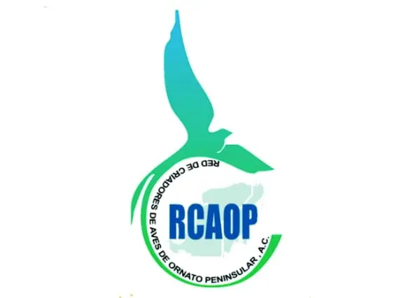 Red de Criadores de Aves de Ornato Peninsular, A.C.